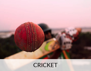 Cricket 
