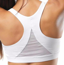 alpha sports bra